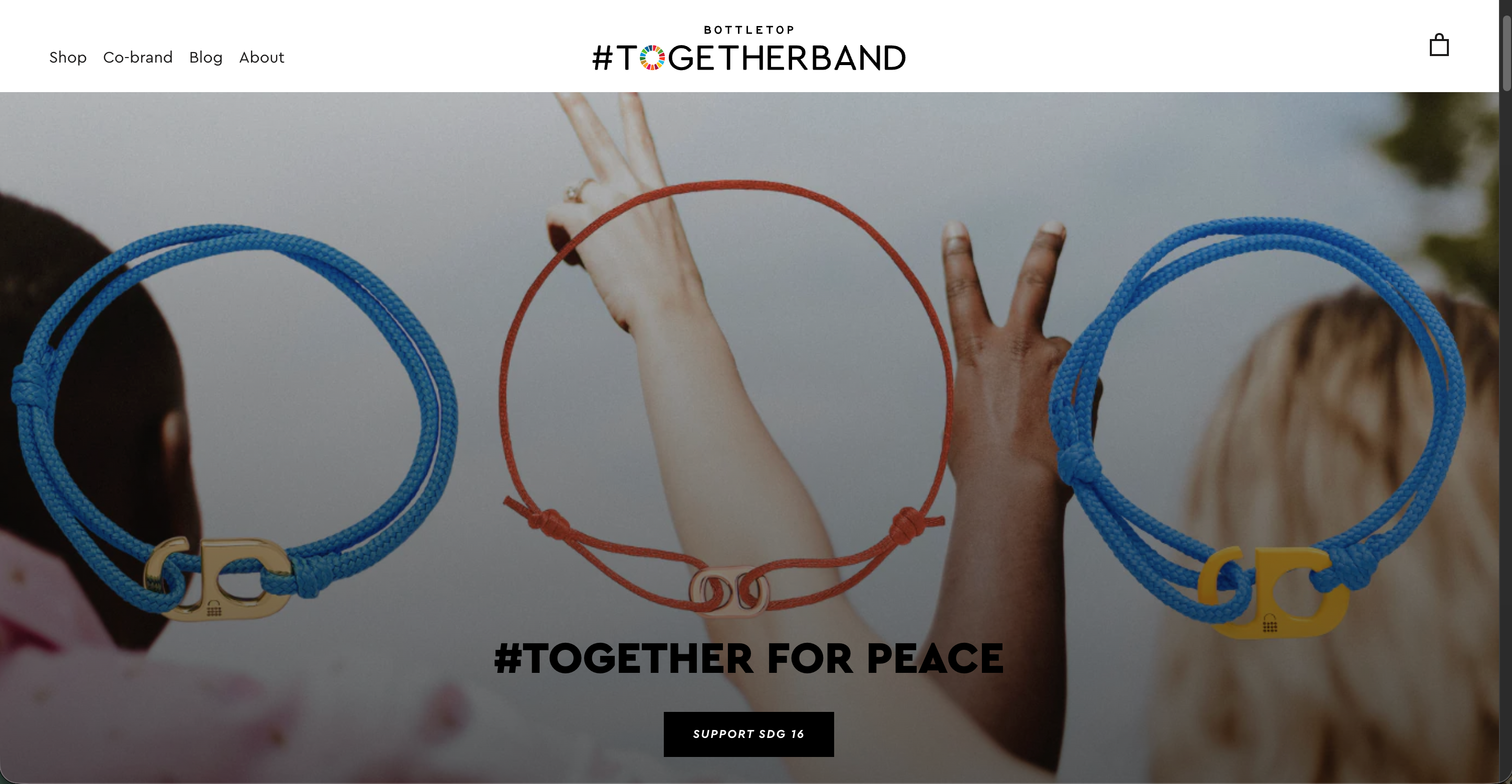 Togetherband website